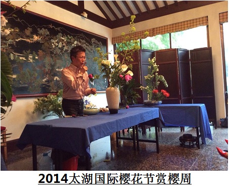 2014太湖国际樱花节赏樱周